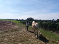 Landschaft_Cavalinha_Reittherapie