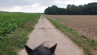 Landschaft_Cavalinha_Reittherapie_2